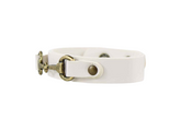 White dog collar with brass buckle on a white background