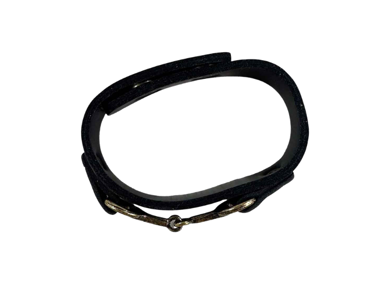 Black leather bridle bit on a white background