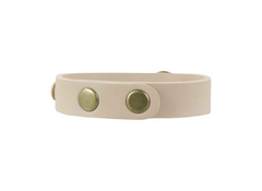 Beige dog collar with two gold buttons on a white background