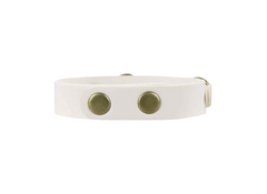 White leather collar with gold studs on a white background