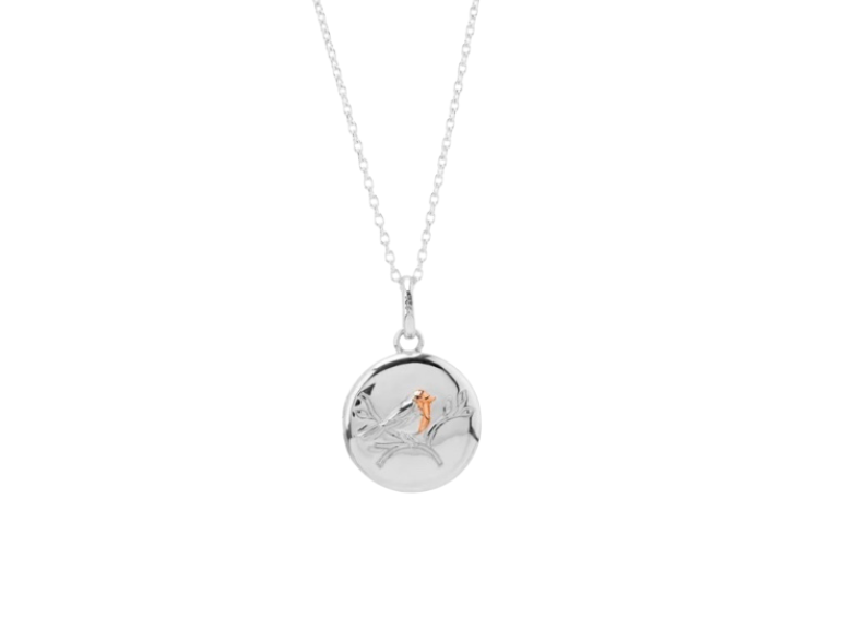 Silver necklace with a round pendant on a white background